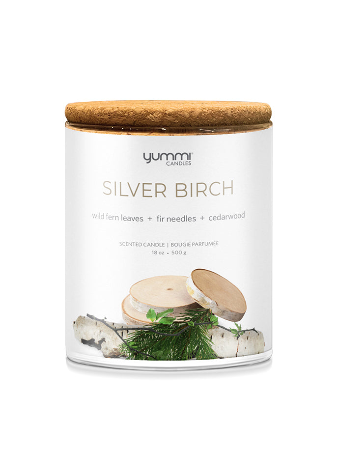 18oz Silver Birch Scented Jar Candles