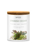 //www.yummicandles.com/cdn/shop/files/00164-spanish-cedar-scented-candle-jar-l_44a7b3d7-3993-4be7-a0c2-0f9a885a9ce8_compact.jpg?v=1723735712