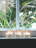 Yummi Candles - 8 Hour Unscented Bio-Light Jar Candles - Lifestyle - 1